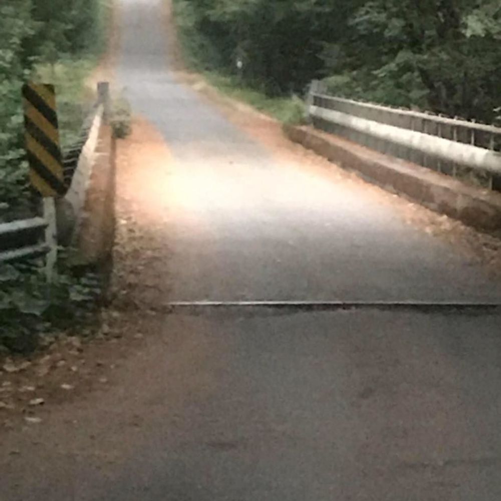 Meet your Posher, Jarrett